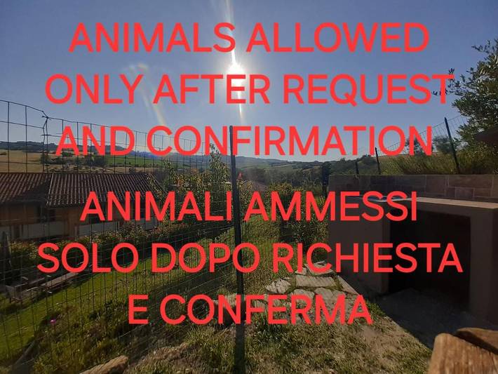 Gîte pour 4 personnes, avec vue ainsi que jardin et piscine à Tavullia - 2