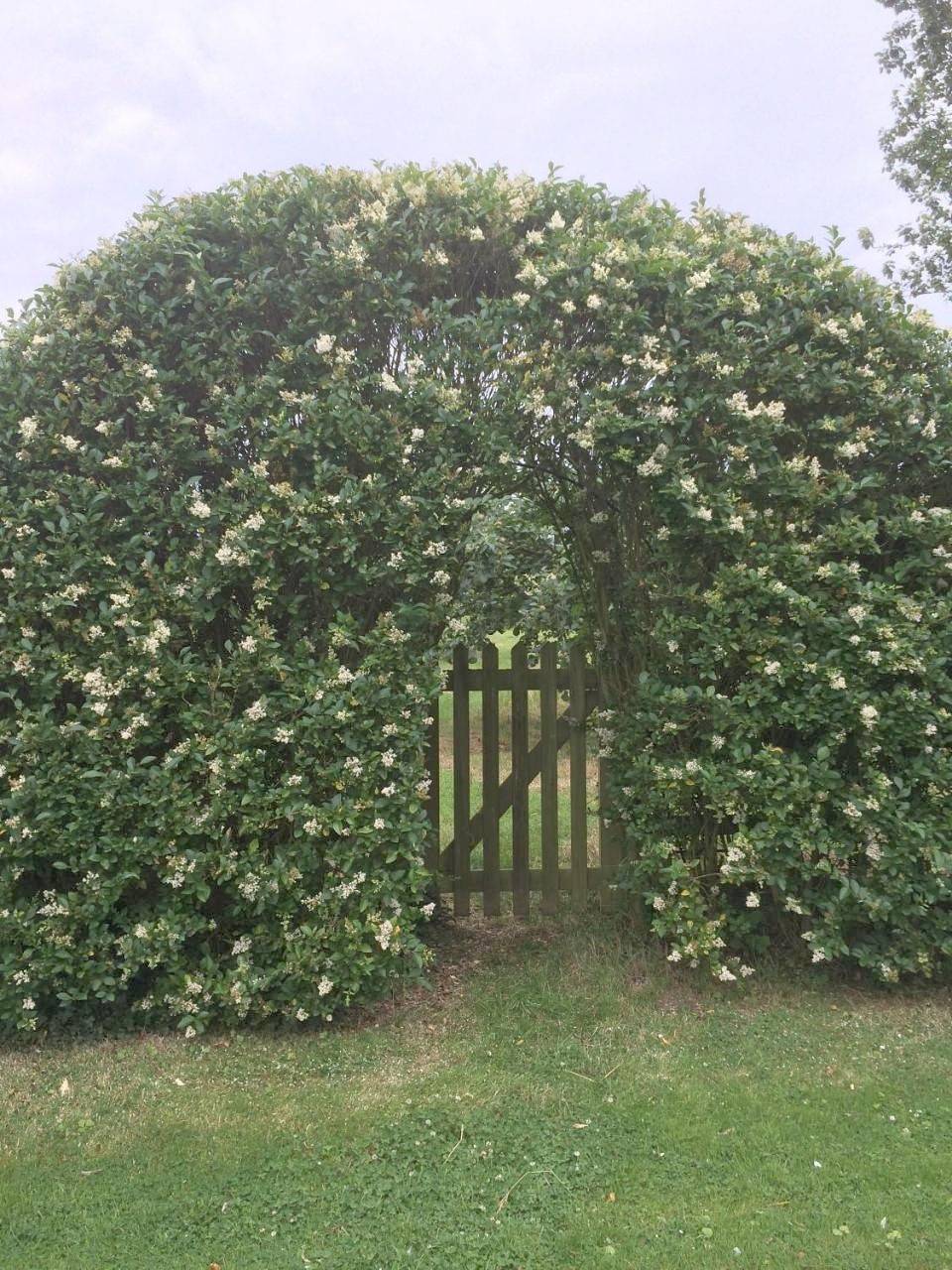 Lime Trees Farm in Oxfordshire