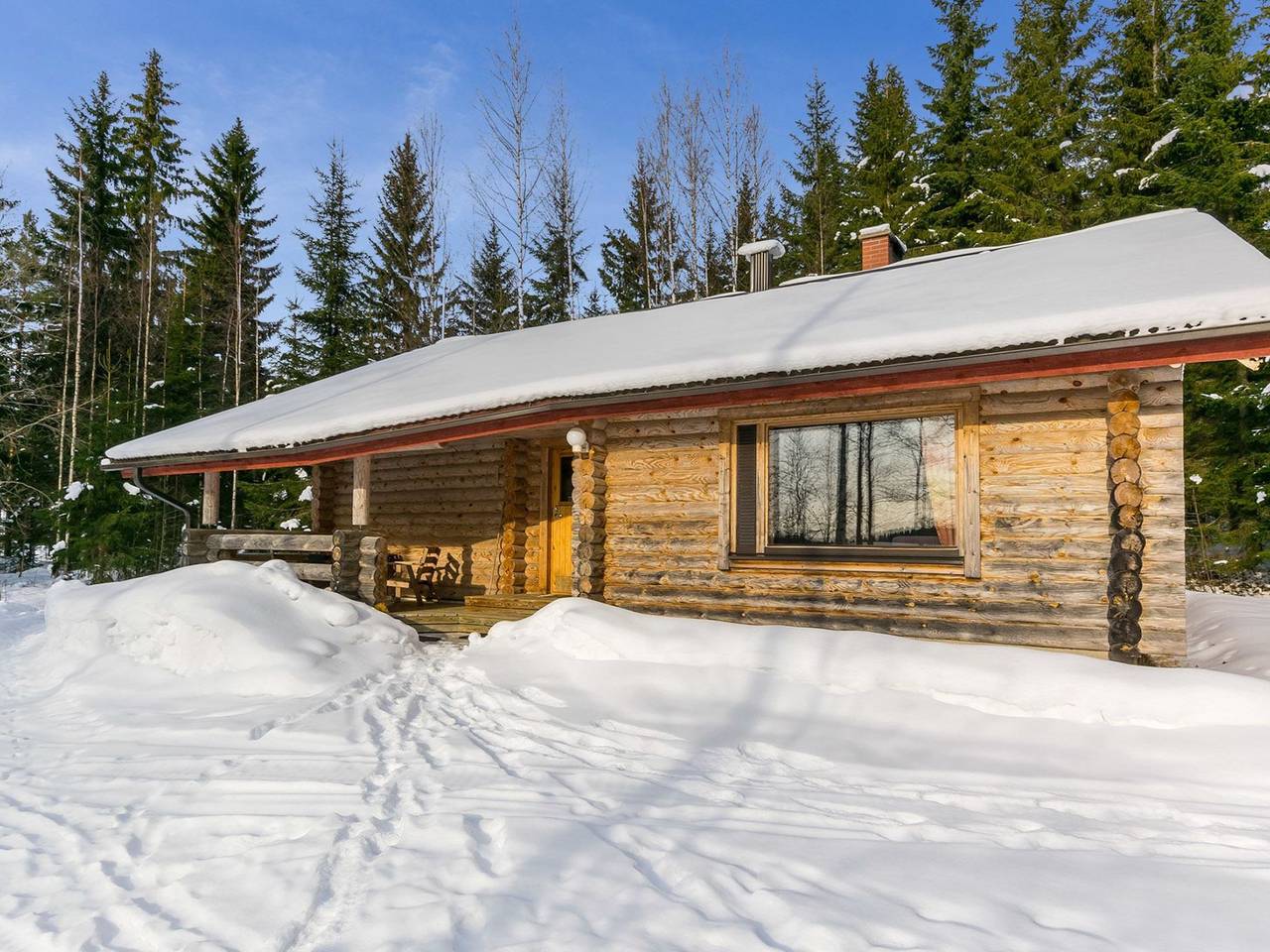 Hevonkuusi in Hankasalmi, Westfinnland