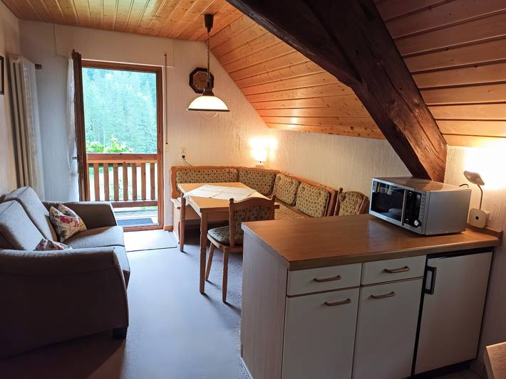 Ferienwohnung für 4 Personen, mit Balkon und Garten, mit Haustier in Bad Rippoldsau-Schapbach