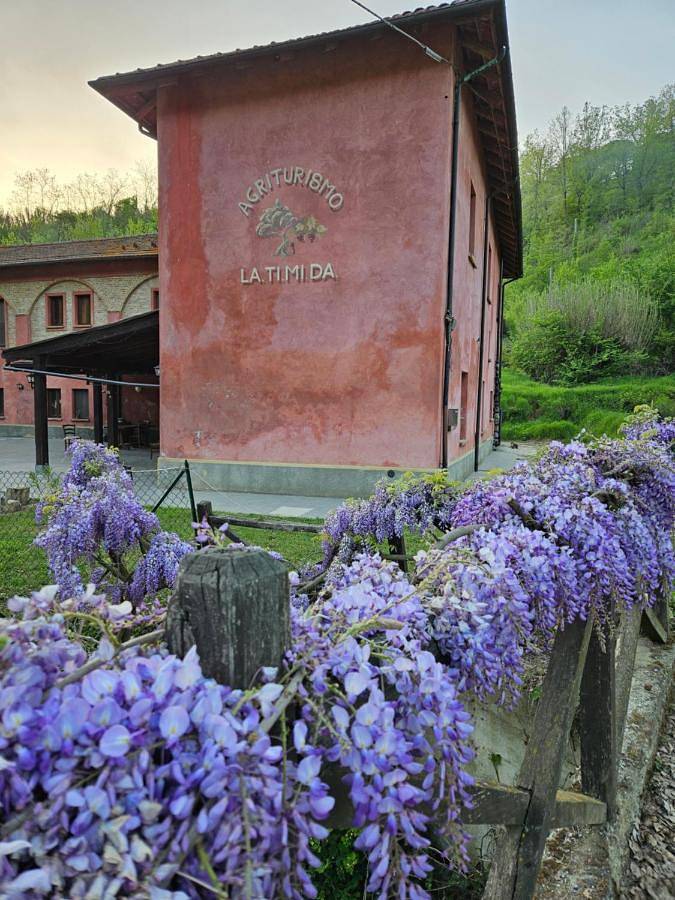 Studio entier, Agriturismo La.Ti.Mi.Da. in Cassine, Province d'Alexandrie