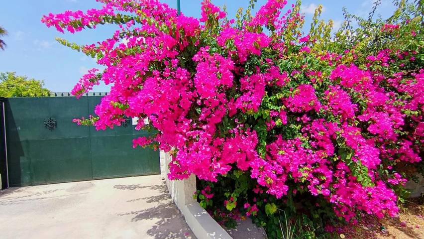 Casa rural para 6 personas, con jardín además de piscina y vistas en Alhaurín el Grande - 2