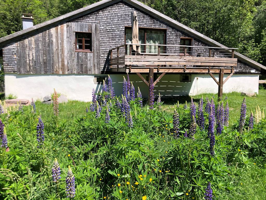 Gîte typique, ferme rénovée in Gérardmer, Parc naturel régional des Ballons des Vosges