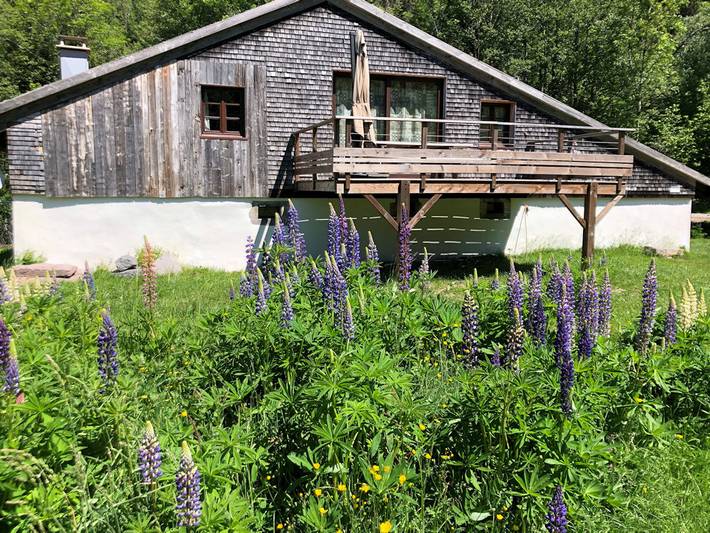 Gîte pour 15 personnes, avec balcon ainsi que jardin et sauna dans La Bresse-Hohneck - 4