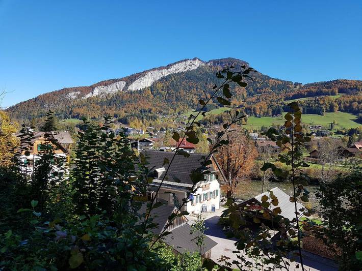 Ferienwohnung für 4 Personen, mit Balkon und Garten sowie Ausblick, kinderfreundlich in Bad Goisern am Hallstättersee - 2