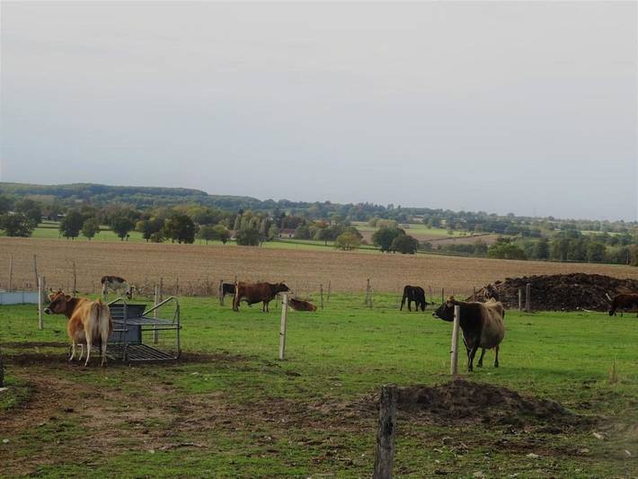 Gîte pour 4 personnes, avec jardin à Besson - 2