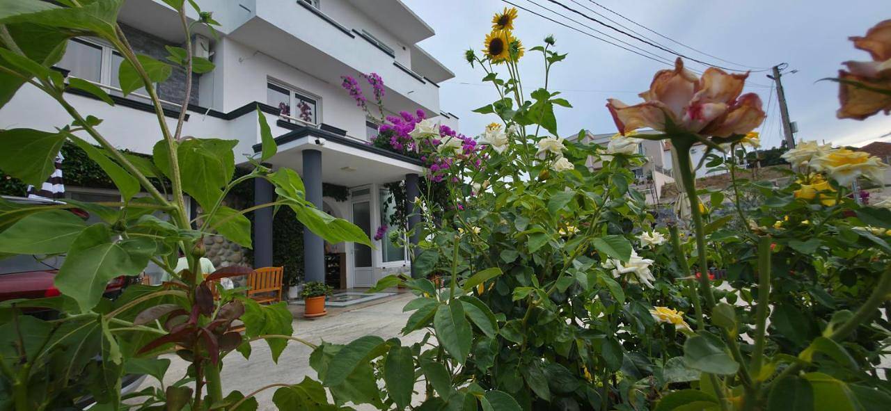 Villa Grafenberg Ulcinj in Ulcinj, Dulcigno