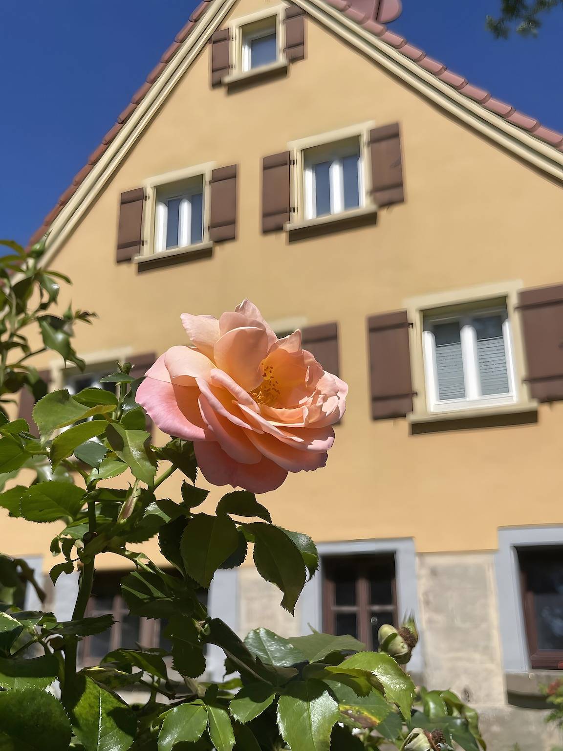 Ganze Wohnung, Ferienwohnung 'Alte Schmiede Ellrichshausen' mit Wi-Fi in Hohenlohe