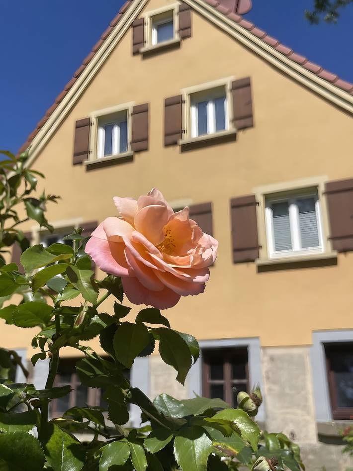 Ferienwohnung für 2 Personen, mit Haustier