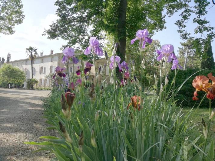 Location de vacances pour 4 personnes, avec piscine ainsi que jardin et vue dans Loupia - 3