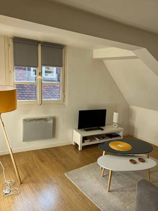 Gîte pour 4 personnes, avec vue dans Office De Tourisme De Strasbourg - 2