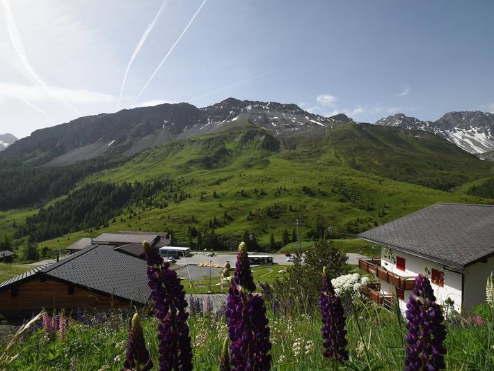 Ferienwohnung für 4 Personen, mit Garten und Terrasse in Arosa - 3