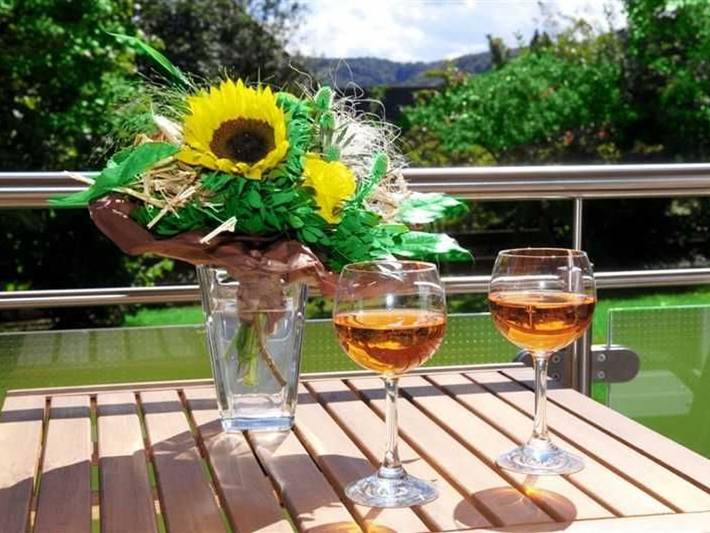 Ferienwohnung für 2 Personen, mit Terrasse und Garten in Waldeck - 3