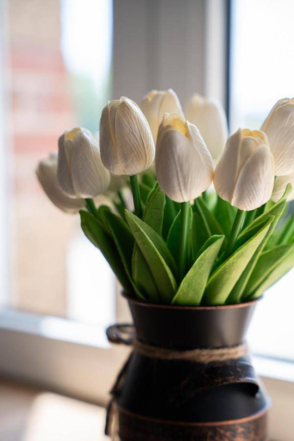 Location de vacances pour 6 personnes, avec jardin et vue à Saint-Laurent-sur-Sèvre - 4