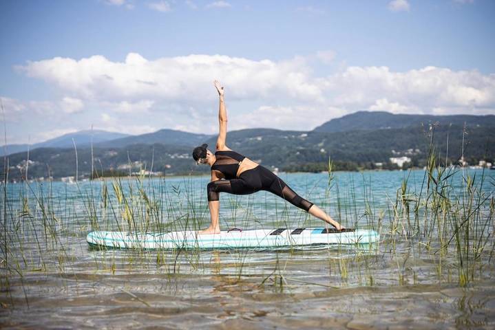 Villa für 8 Personen, mit Seeblick und Ausblick sowie Garten, mit Haustier am Wörthersee - 4
