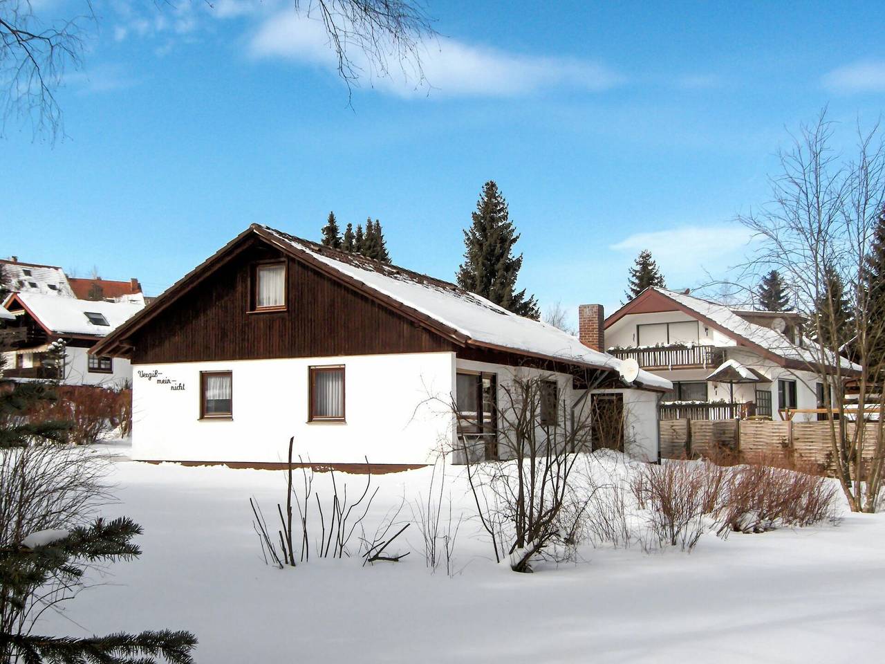 Vergissmeinnicht - Vergissmeinnicht 210.1 in Dittishausen (Löffingen), Loffingen