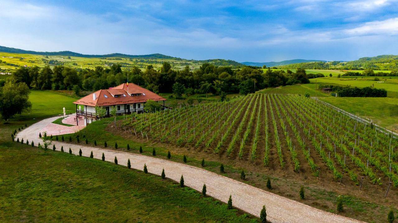 Pensiunea Sonnenhof in Mureș