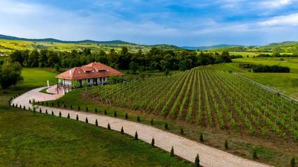 Maison d’hôte pour 2 personnes, avec terrasse ainsi que jardin et vue dans Mureș