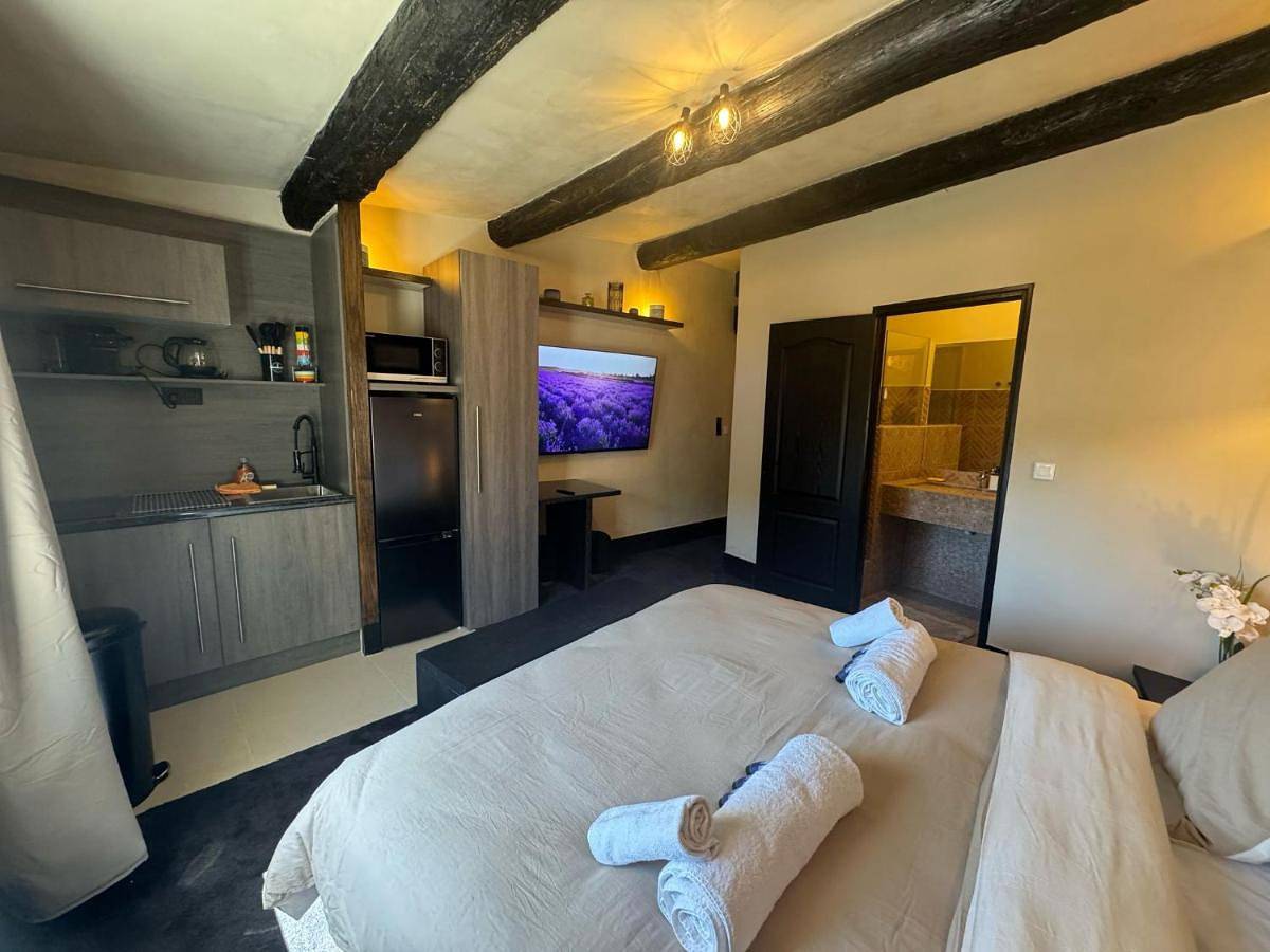 Double or Twin Room with Private Bathroom in Salon-de-Provence, Côte méditerranéenne (France)