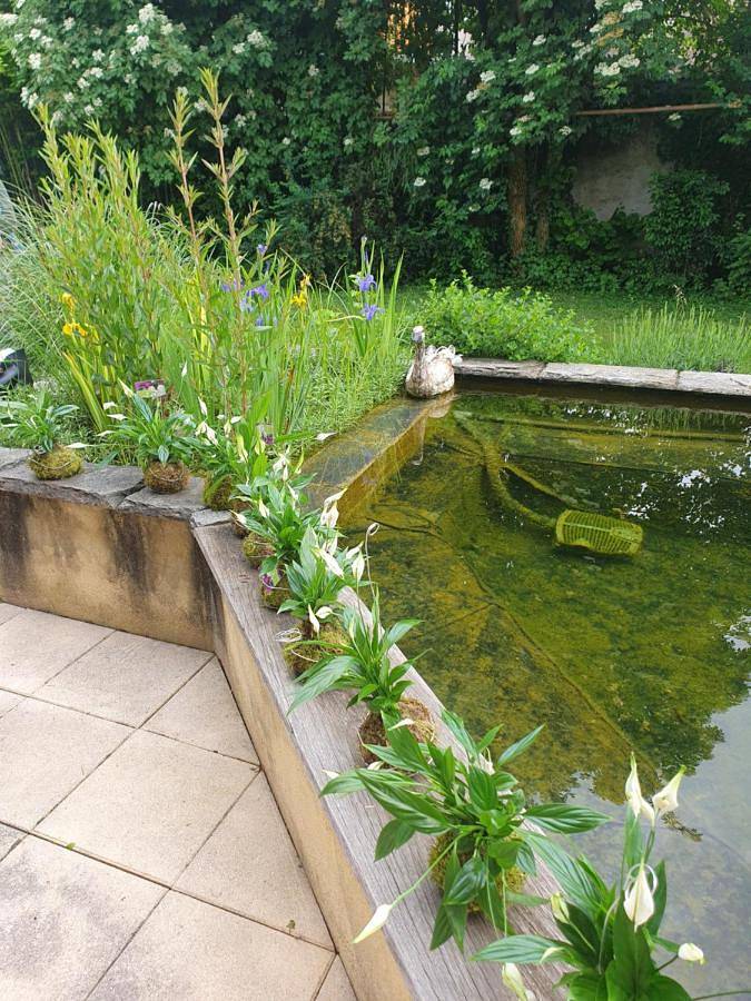 Double Room with Garden View in Aix-les-Bains, Région de Chambéry
