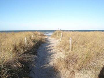 Bungalow für 4 Personen in Mecklenburgische Ostseeküste, Nordwestmecklenburg (Wismar und Umgebung), Bild 4