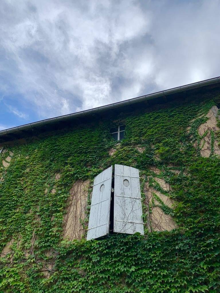 Le Colombier - Maison d'hôtes entre Épinal et Vittel - Chambre bleue in Madonne-et-Lamerey, Région d'Épinal