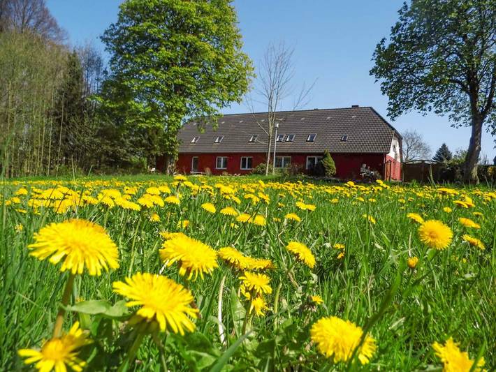 Ferienhaus für 6 Personen, mit Terrasse und Garten sowie Ausblick in Ahrenshagen-Daskow