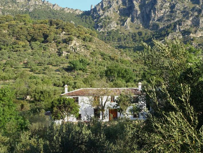 Casa de vacaciones para 6 personas, con Balcón y Terraza además de Jardín y Piscina en Sierra de Grazalema - 2
