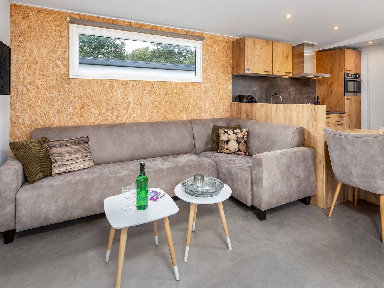 Modern chalet nabij Hunebedcentrum in Borger, Drenthe