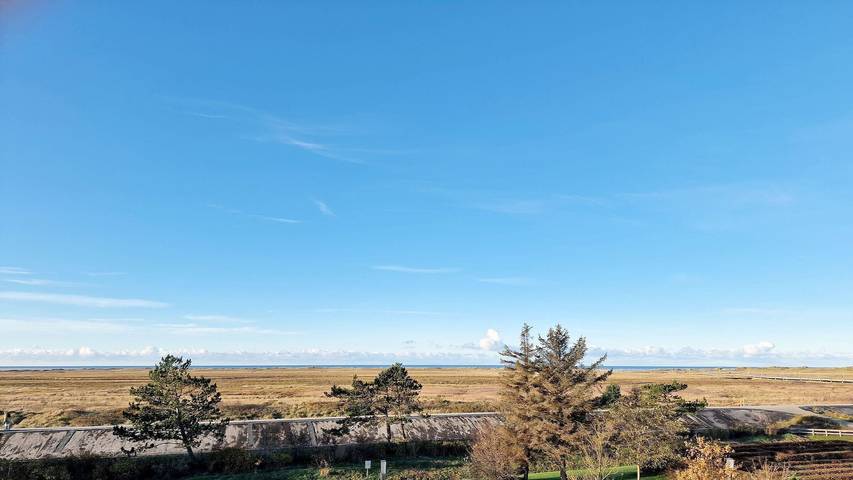 Ganze Ferienwohnung, Haus Quisisana Whg 19 in St. Peter-Bad, St. Peter-Ording