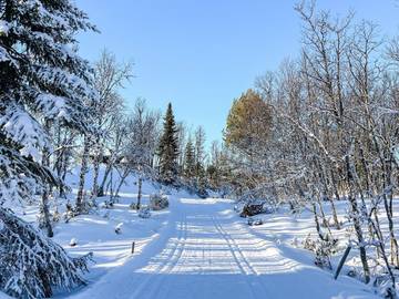 Feriehus til 4 Personer i Gol, Viken, Bilde 4