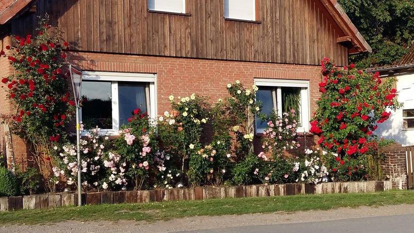 Ferienwohnung für 4 Personen, mit Garten und Balkon - 1