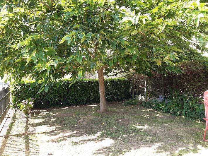 Gîte pour 6 personnes, avec balcon et jardin dans le Finistère - 4