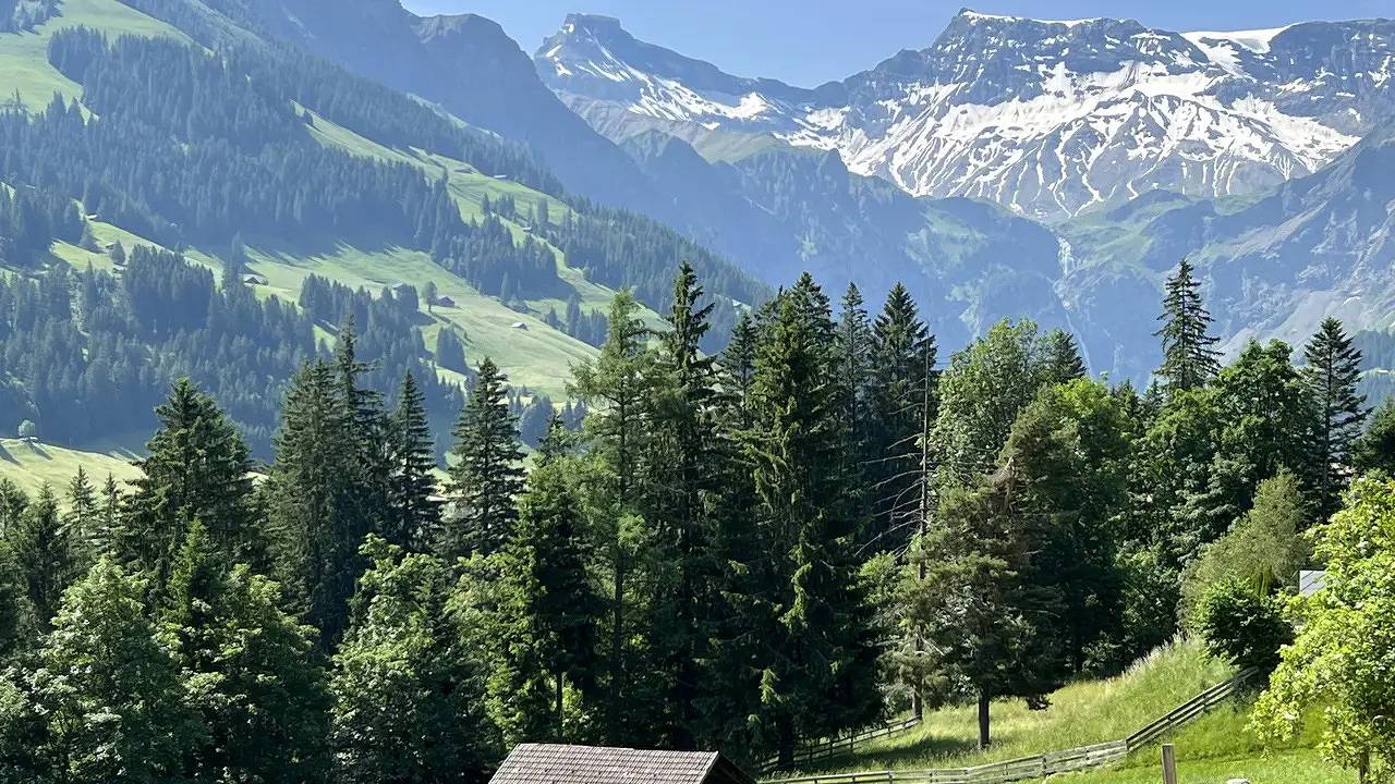 Ganze Ferienwohnung, Ferienwohnung für 2 Personen (39 m²) in Adelboden in Adelboden, Frutigen - Lenk - Adelboden
