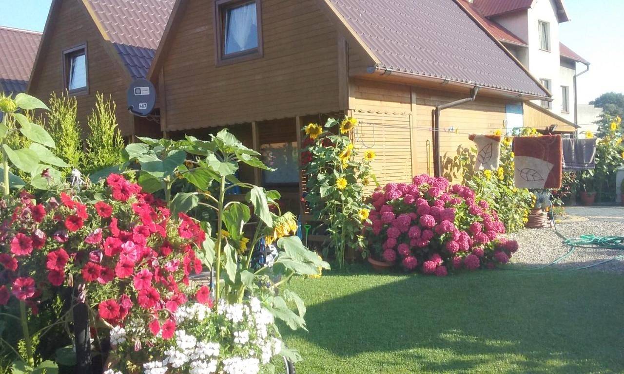 Domki Blanka Jastarnia in Jastarnia, Zatoka Gdańska