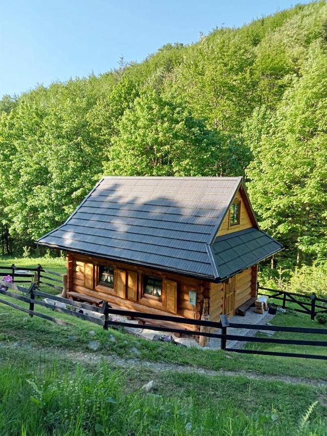 One-Bedroom Chalet in Karpaty (Polska)