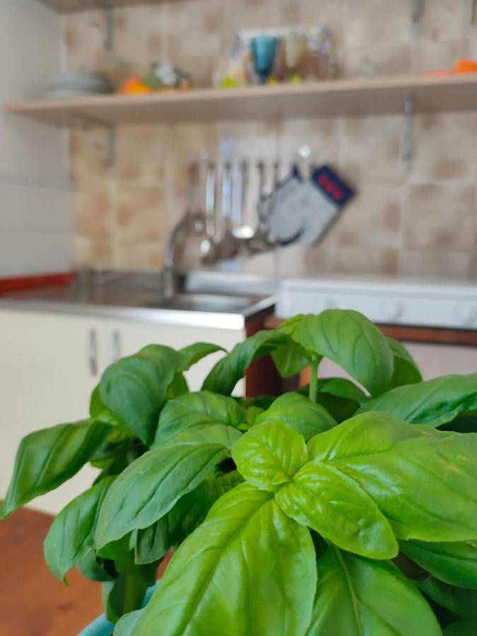 Double Room with Private External Bathroom in Scoglitti, Vittoria