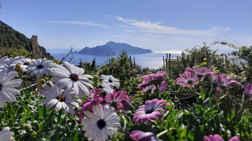 Casa vacanza per 19 persone, con panorama e balcone - 1