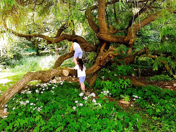 Ferienwohnung für 2 Personen, mit Garten in Bad Freienwalde - 3