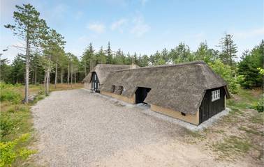 Luxus-ferienhaus für 16 Personen in Vedersø Klit, Dänemark an der Nordsee, Bild 1