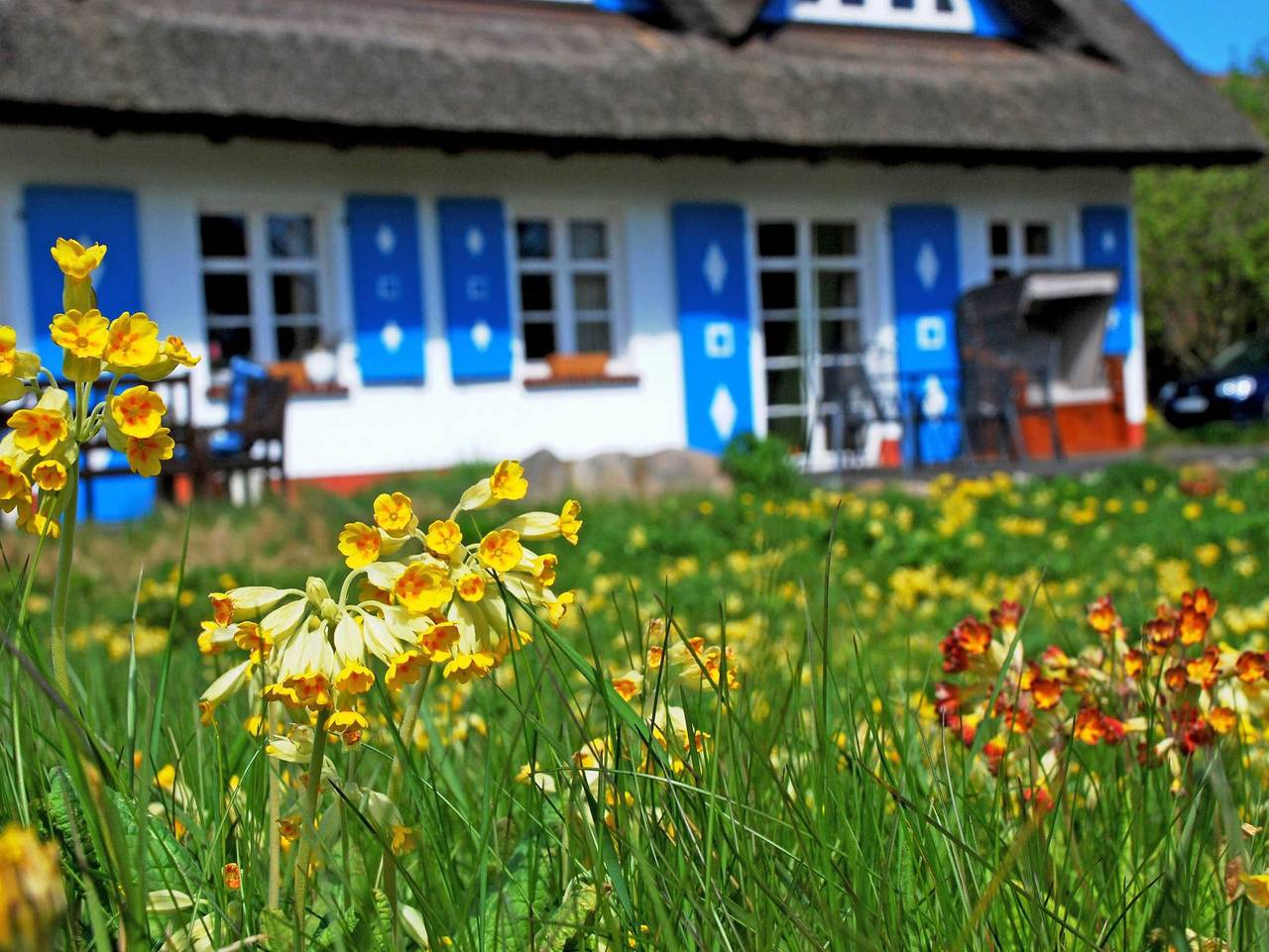 Ganze Ferienwohnung, Ferienwohnung unterm Reetdach Haus Sonnenwinkel - Ferienwohnung unterm Reetdach Haus Sonnenwinkel in Altensien, Sellin