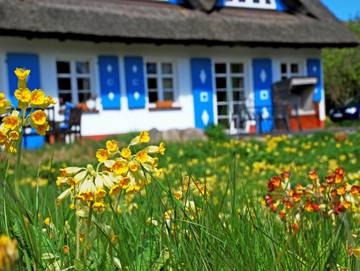 Ferienwohnung für 4 Personen in Selliner See, Sellin, Bild 3