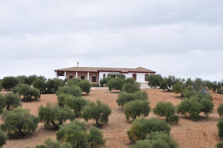 Apartamento para 14 personas, con Balcón y Terraza además de Jardín y Piscina en La Carlota