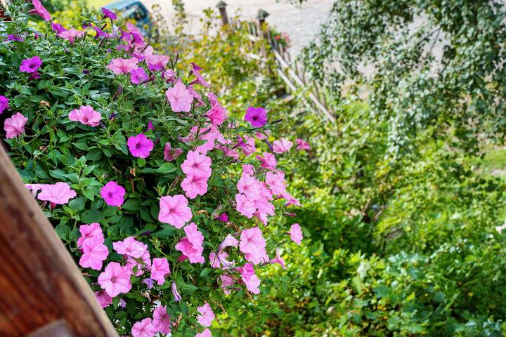 Bauernhof für 4 Personen, mit Garten und Balkon, mit Haustier in Trentino-Südtirol - 3