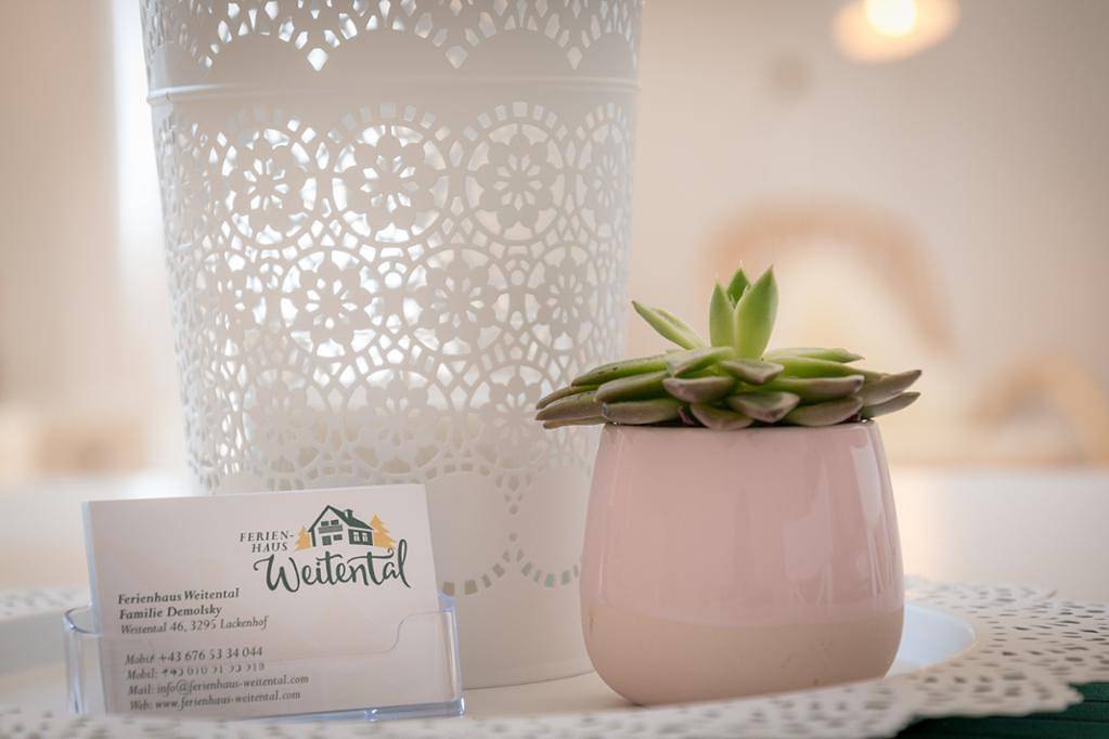 Ganze Wohnung, Ferienhaus Weitental - Waldblick in Lackenhof am Ötscher, Mostviertel Region