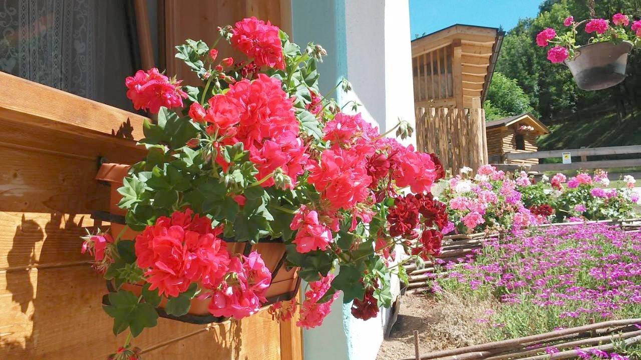 B&B El Molin in Cavalese, Fleimstaler Alpen