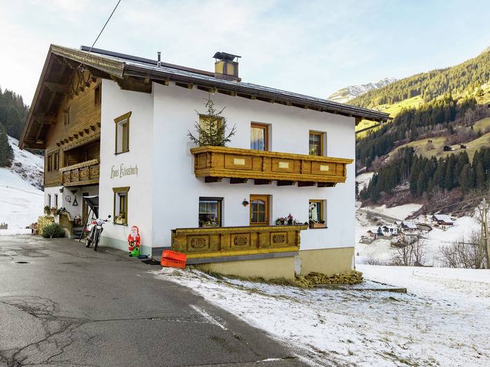 Ganze Wohnung, Wohnung in See nahe Skipisten in See, Verwall