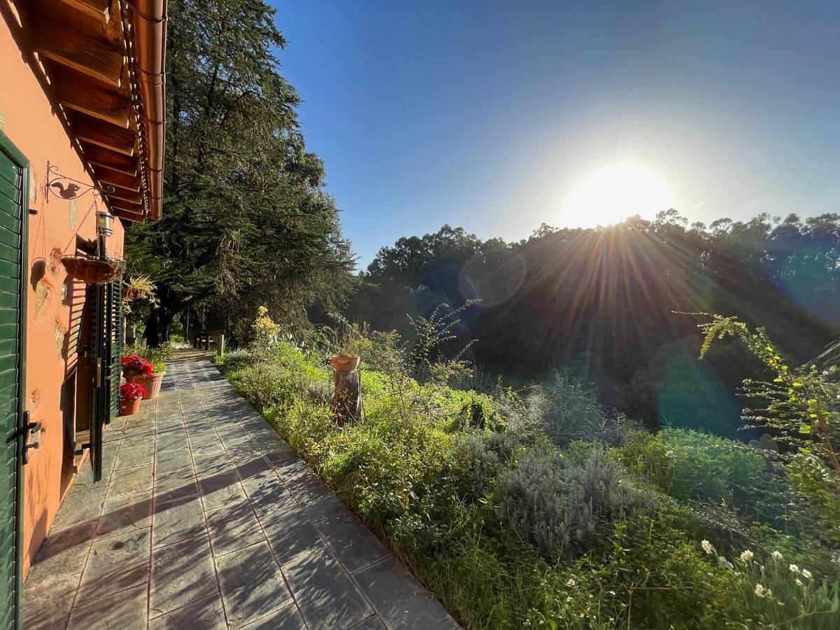 Finca El Lance Zumacal in El Zumacal, Firgas
