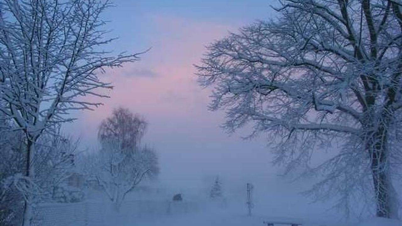 Ganze Ferienwohnung, Ferienwohnung für 6 Personen (105 m²) in Bugewitz in Bugewitz, Vorpommern Greifswald