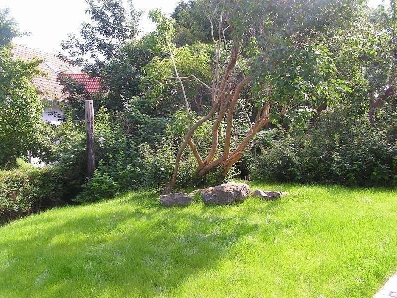 Ruhe, Natur & Meerblick – Das Atelier in Lohme: Wandern, Radfahren & Golf direkt vor der Tür in Lohme, Nationalpark Jasmund